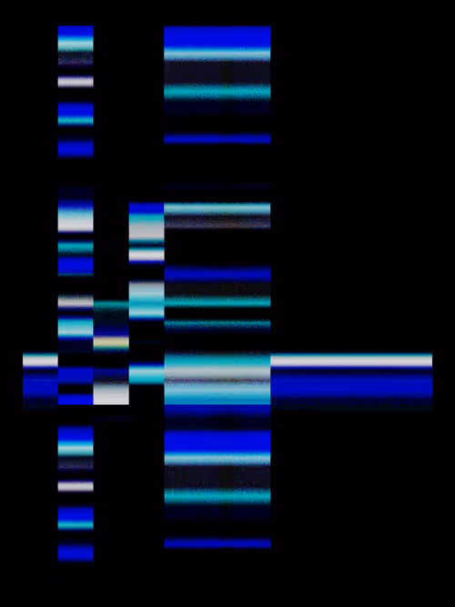 Item #1726366045 Media