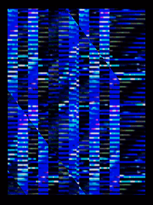 Item #1177918663 Media