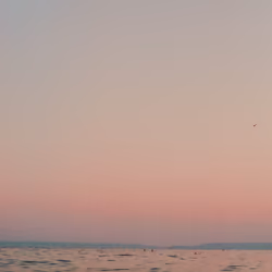 Dusk's Hush