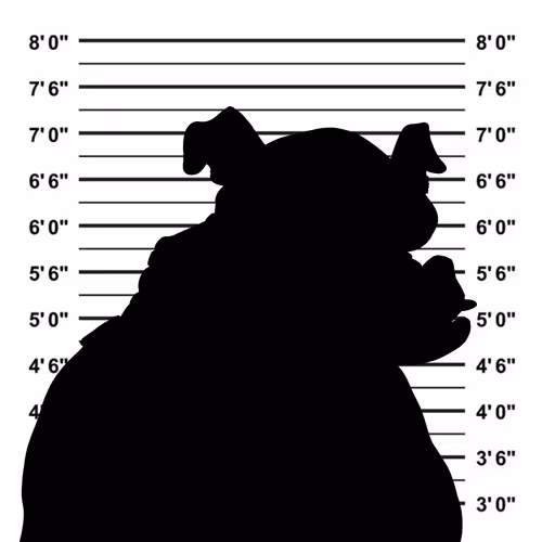 Dont Use Hold Hogs