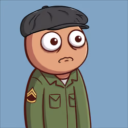 339