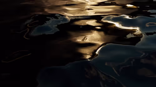 Item #7800000009 Media