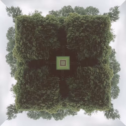 Item #12100000031 Media