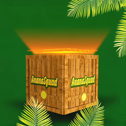 AnanaSquad #3