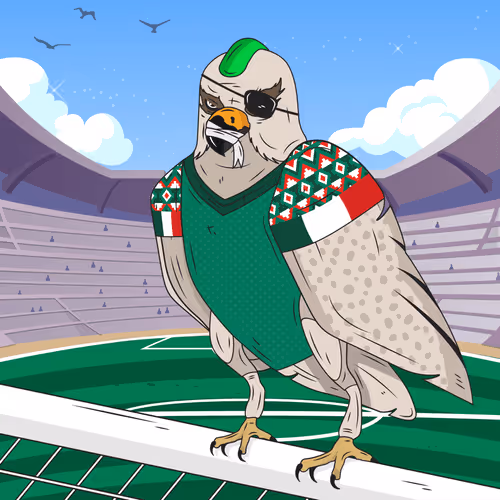 Arabian Falcons Worldcup2022