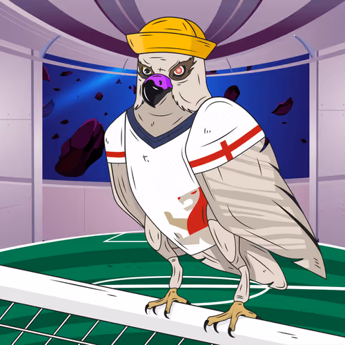 Arabian Falcons Worldcup2022