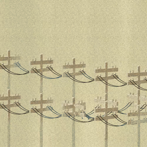 Stayawayfromthebirds