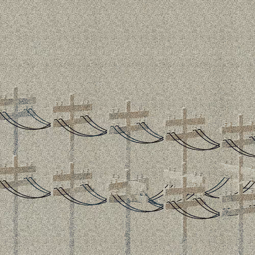 stay away from the birds #778