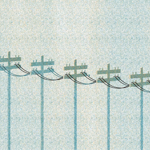 Stayawayfromthebirds