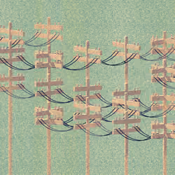 stay away from the birds #334