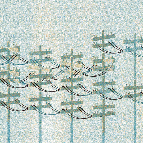 stay away from the birds #727