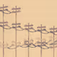 767