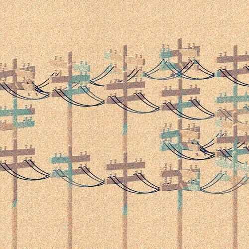 Stayawayfromthebirds