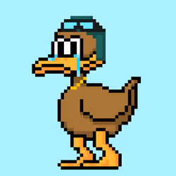 CryptoDuck #579