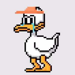 CryptoDuck #1126