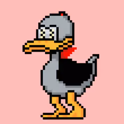 CryptoDuck #893