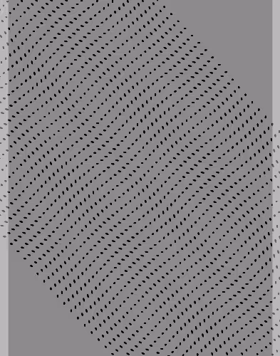 Monochrome Frames Linali
