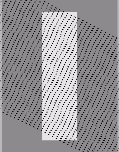 Monochrome Frames Linali