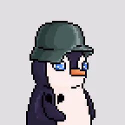 AMINALS #213