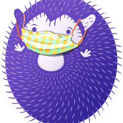 Covid Hedgie