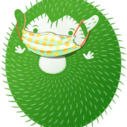 Covid Hedgie
