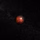 3080