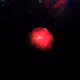 843