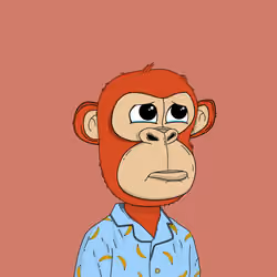 Kindergarten BabyApes #6944
