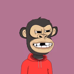 Kindergarten BabyApes #9259