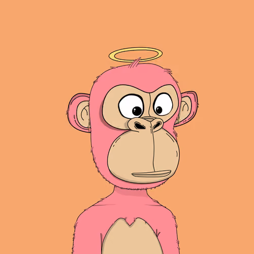 Kindergarten BabyApes #4522