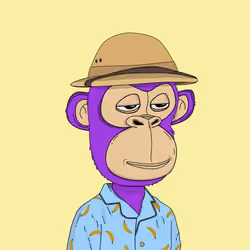 Kindergarten BabyApes #6534