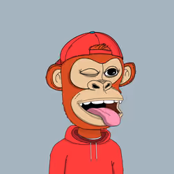 Kindergarten BabyApes #2932