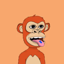 Kindergarten BabyApes #9480