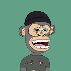 Kindergarten BabyApes #4490