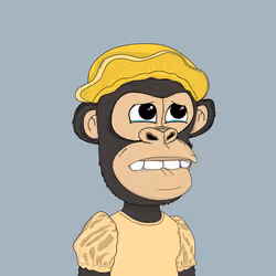 Kindergarten BabyApes #8951