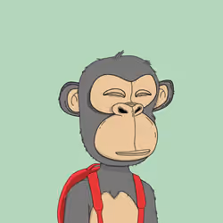 Kindergarten BabyApes #4642