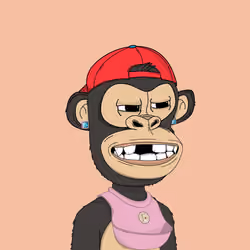 Kindergarten BabyApes #5372