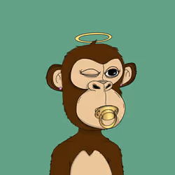 Kindergarten BabyApes #5070