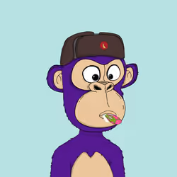 Kindergarten BabyApes #2837
