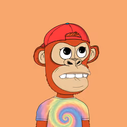 Kindergarten BabyApes #8819