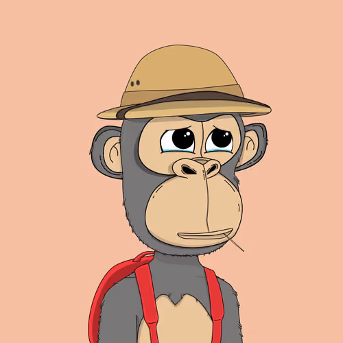 Kindergarten BabyApes #8756