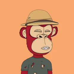 Kindergarten BabyApes #300