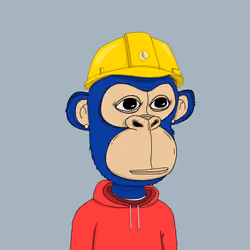 Kindergarten BabyApes #800