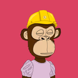 Kindergarten BabyApes #5193