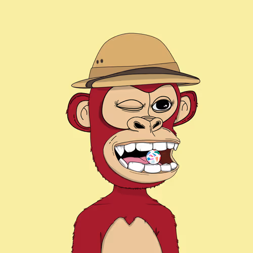 Kindergarten BabyApes #669