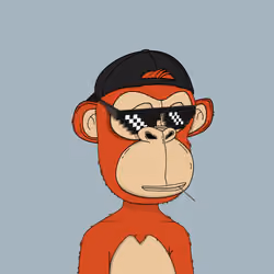 Kindergarten BabyApes #5062