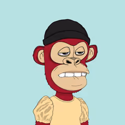 Kindergarten BabyApes #7940