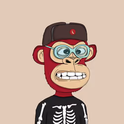 Kindergarten BabyApes #1377