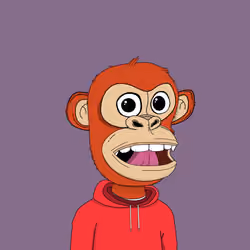 Kindergarten BabyApes #5161