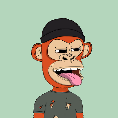 Kindergarten BabyApes #4273